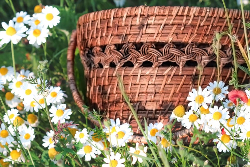 Boho Blooms